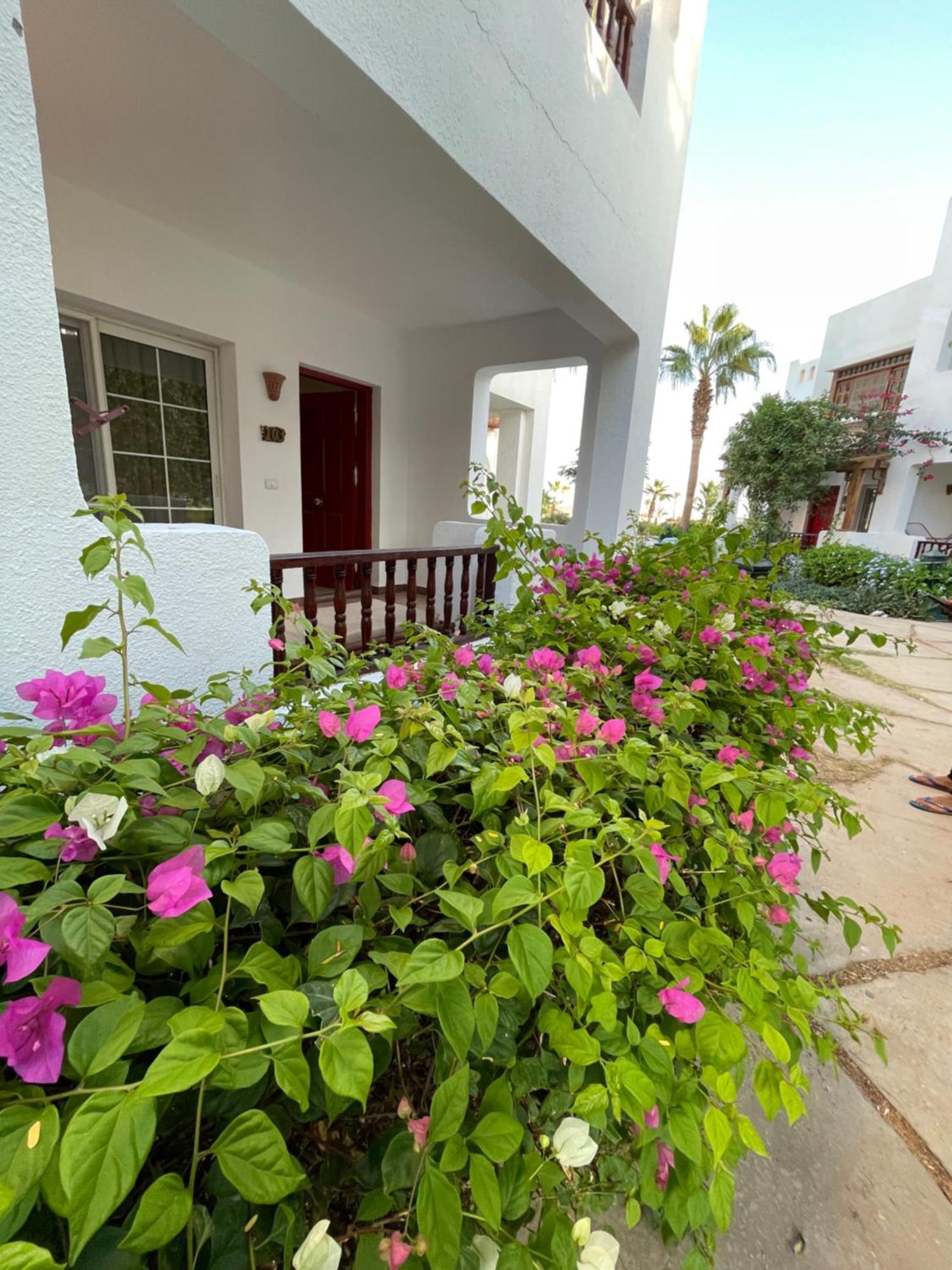 Delta Sharm Apartments With Free Internet Wi-Fi ภายนอก รูปภาพ